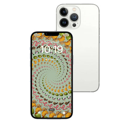 iPhone 13 Pro Max Used Phone 256GB Silver B Bat 100%