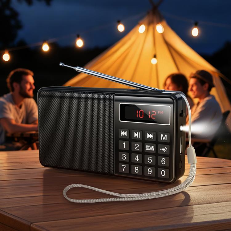 HI50 Portable radio