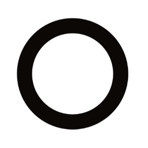 iPhone 6 Rear Camera LENS ONLY - BW100